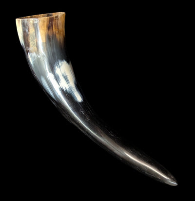 Water Buffalo Horn-Skulls & Bones-Driftstone Pueblo-PaxtonGate