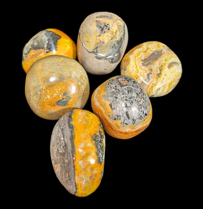 Tumbled Bumblebee Jasper Stone-Minerals-Quasar Gems-PaxtonGate