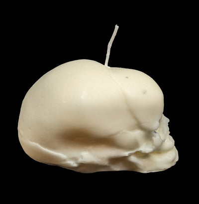 Fetal Skull Candle-Candles-Susan Schomigs Creations-PaxtonGate