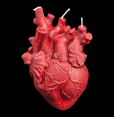Anatomical Heart Candle-Candles-Susan Schomigs Creations-PaxtonGate
