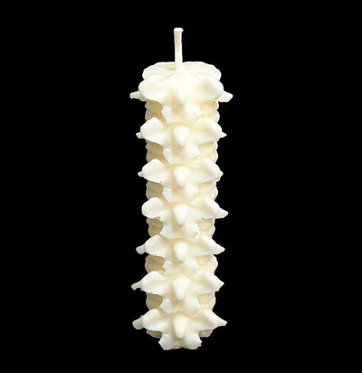 Spine Candle-Candles-Susan Schomigs Creations-PaxtonGate