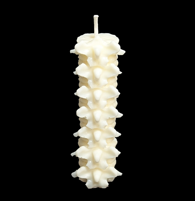 Spine Candle-Candles-Susan Schomigs Creations-PaxtonGate