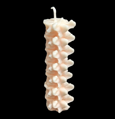 Spine Candle-Candles-Susan Schomigs Creations-PaxtonGate