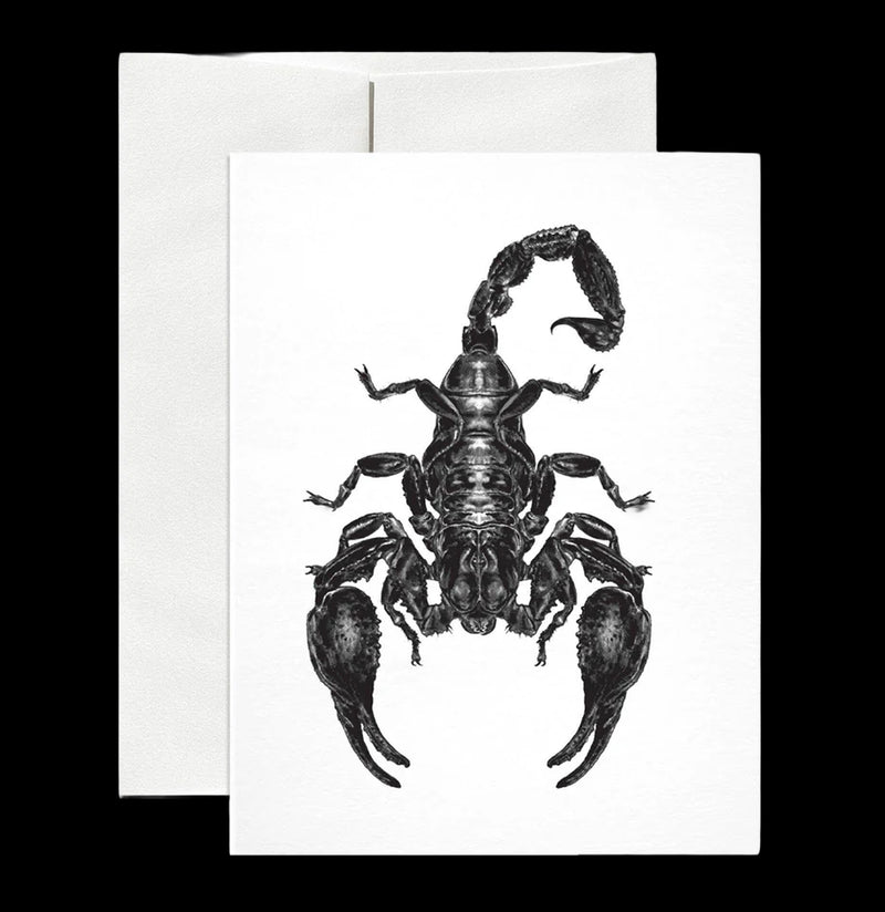 Emperor Scorpion Greeting Card-Cards-Open Sea-PaxtonGate