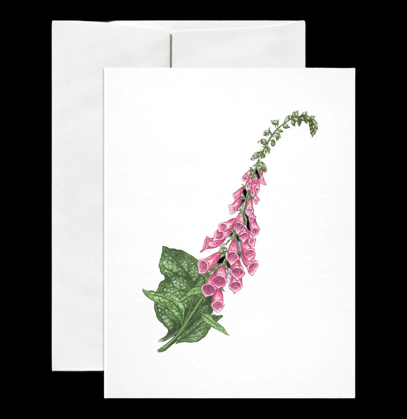 Foxglove Greeting Card-Cards-Open Sea-PaxtonGate