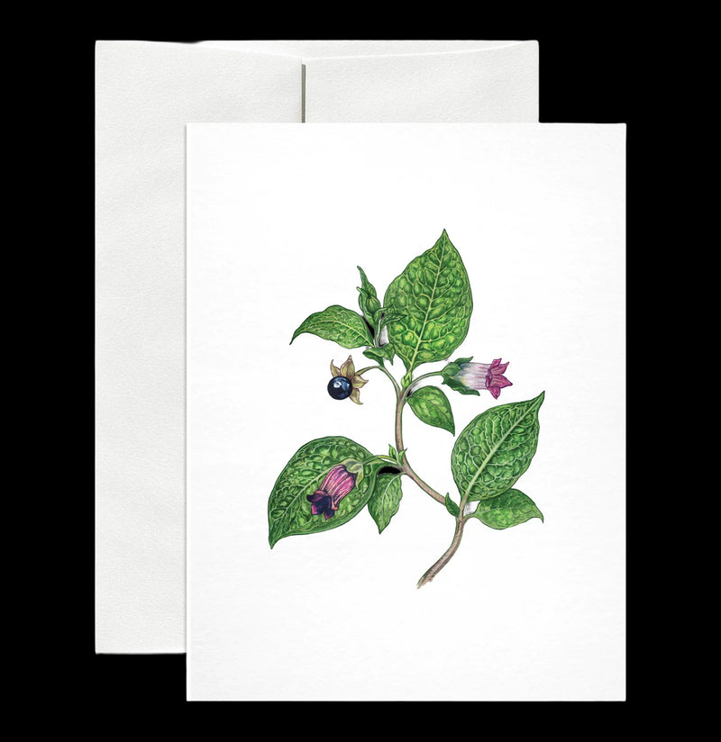 Deadly Nightshade Greeting Card-Cards-Open Sea-PaxtonGate