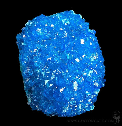 Chalcanthite Crystal Cluster-Minerals-Sokolowski Minerals-PaxtonGate