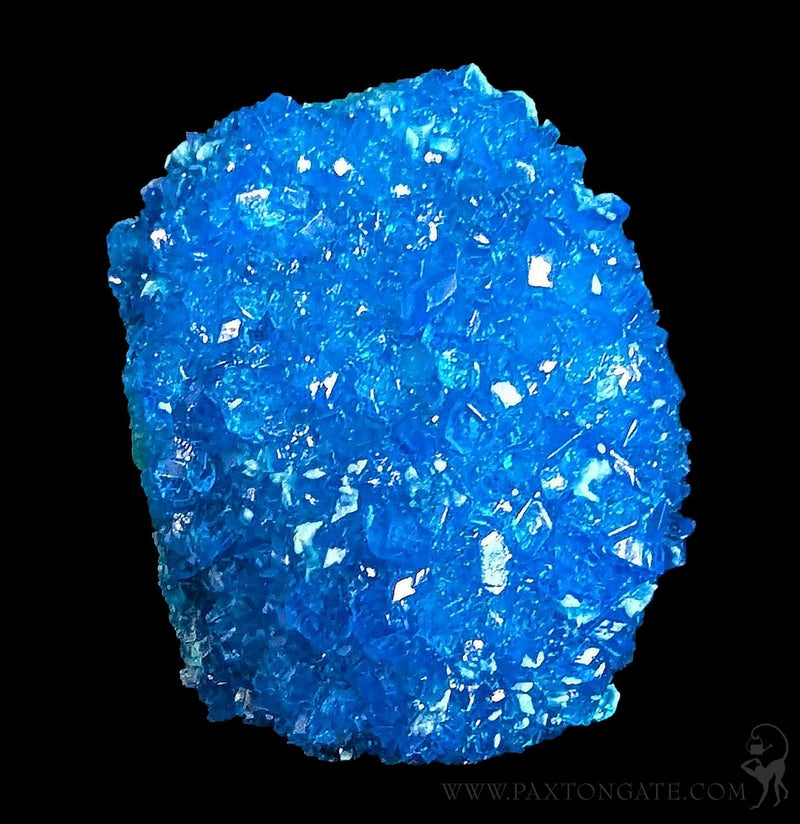 Chalcanthite Crystal Cluster-Minerals-Sokolowski Minerals-PaxtonGate