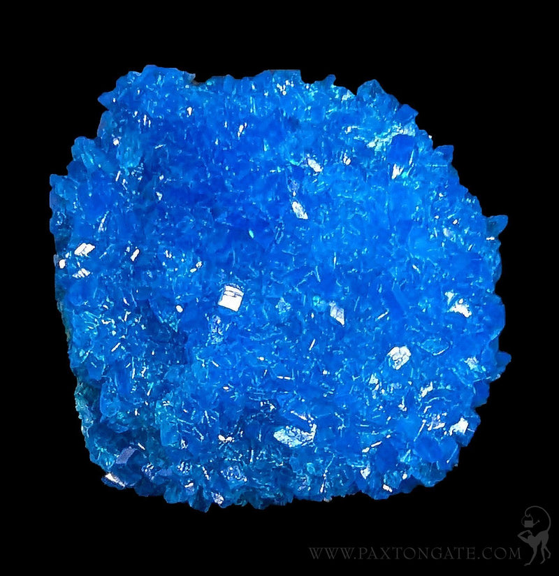 Chalcanthite Crystal Cluster-Minerals-Sokolowski Minerals-PaxtonGate
