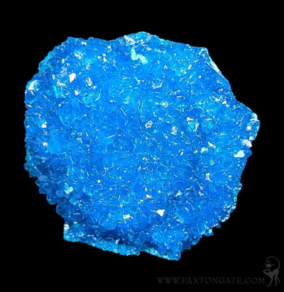 Chalcanthite Crystal Cluster-Minerals-Sokolowski Minerals-PaxtonGate