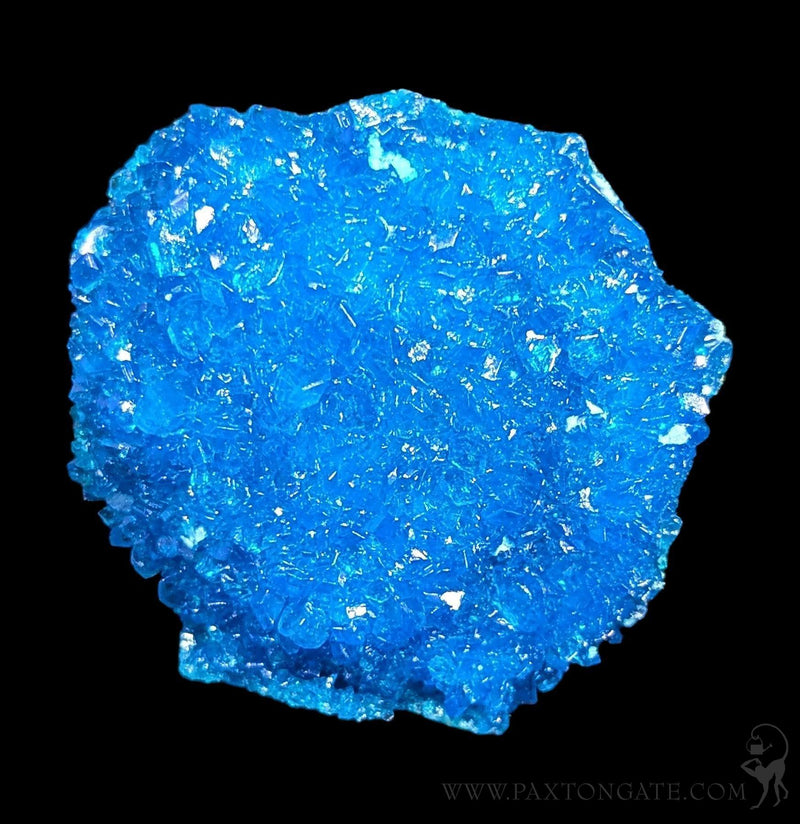 Chalcanthite Crystal Cluster-Minerals-Sokolowski Minerals-PaxtonGate