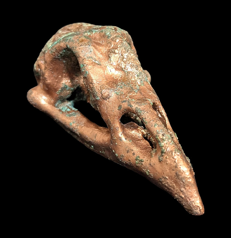 Copper Plated Chicken Skull-Skulls & Bones-The Bone Garden-PaxtonGate