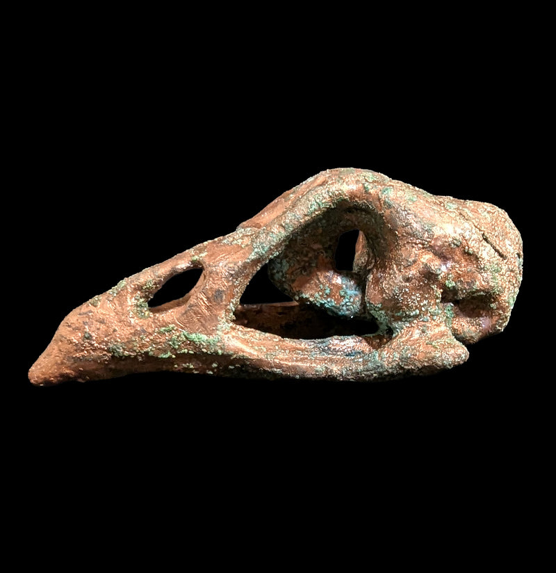 Copper Plated Chicken Skull-Skulls & Bones-The Bone Garden-PaxtonGate