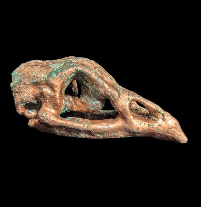 Copper Plated Chicken Skull-Skulls & Bones-The Bone Garden-PaxtonGate