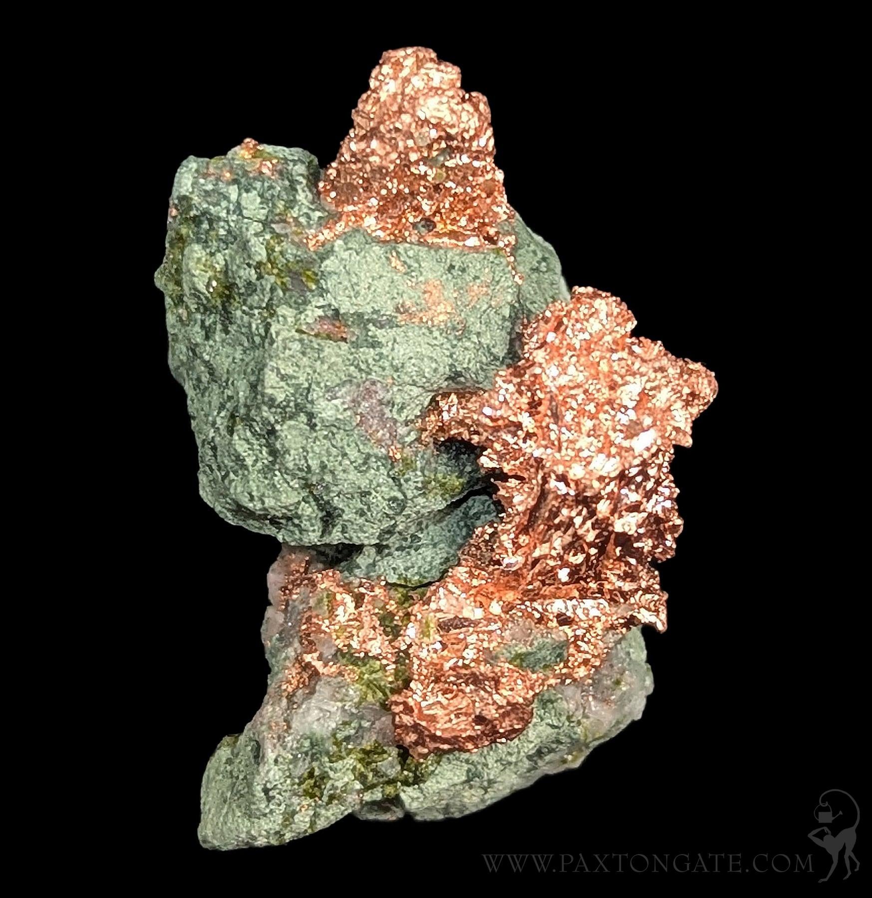 Native Copper Virginia Native Copper – Paxton Gate