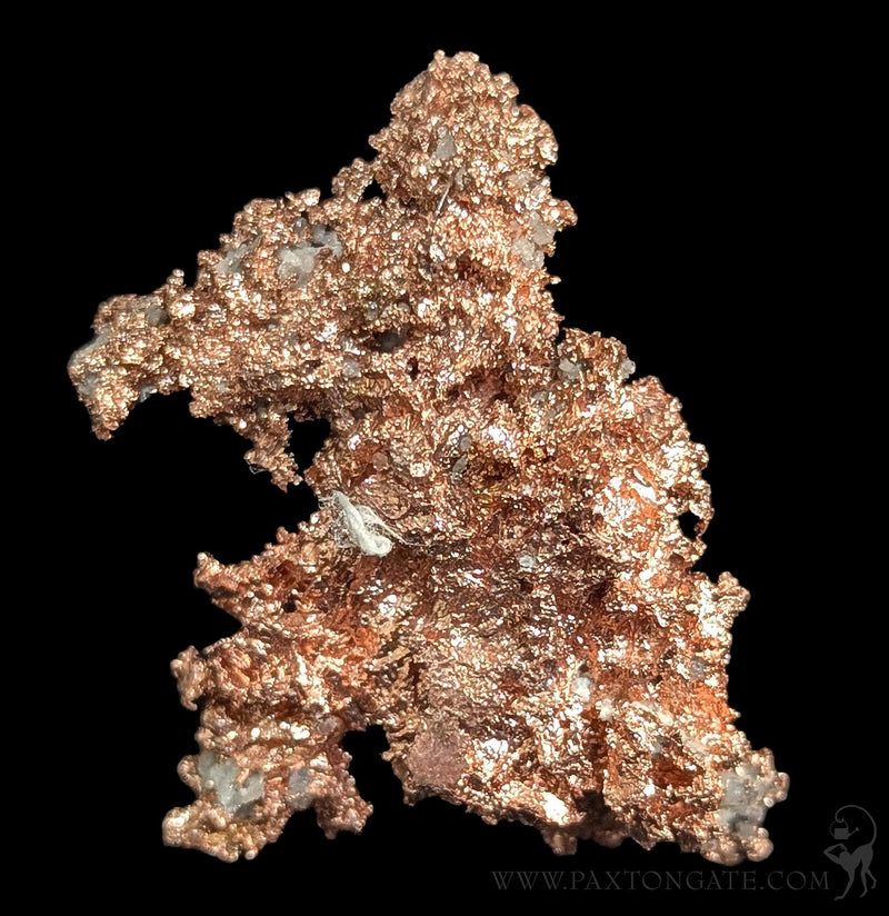 Copper Native Colour Native Copper – Paxton Gate
