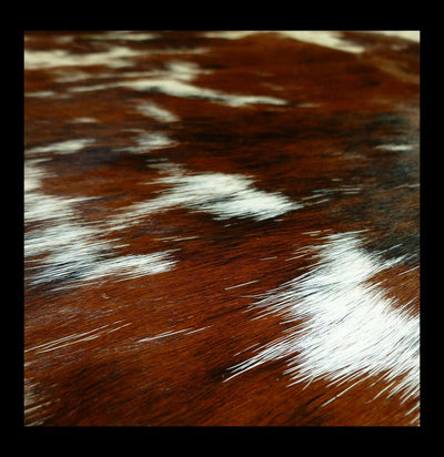 Brown and White Spotty Brazilian Cowhide-Taxidermy-Chesterfield-PaxtonGate