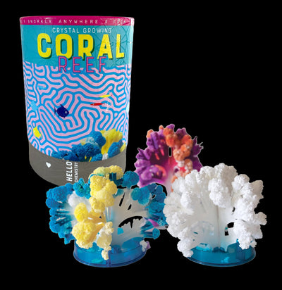 Crystal Growing Coral Reef-Kids-Copernicus-PaxtonGate
