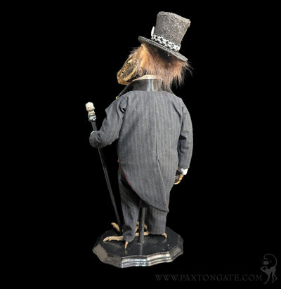 Papa Gator Taxidermy Doll-Taxidermy-Monique Motil-PaxtonGate