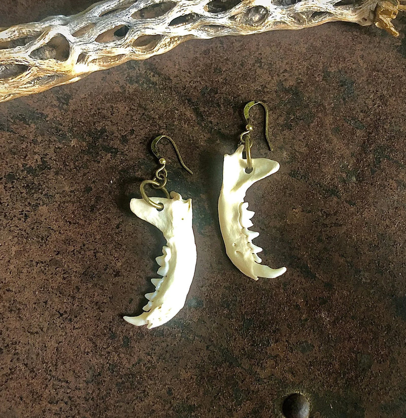 Weasel Jawbone Earrings-Earrings-Astali-PaxtonGate