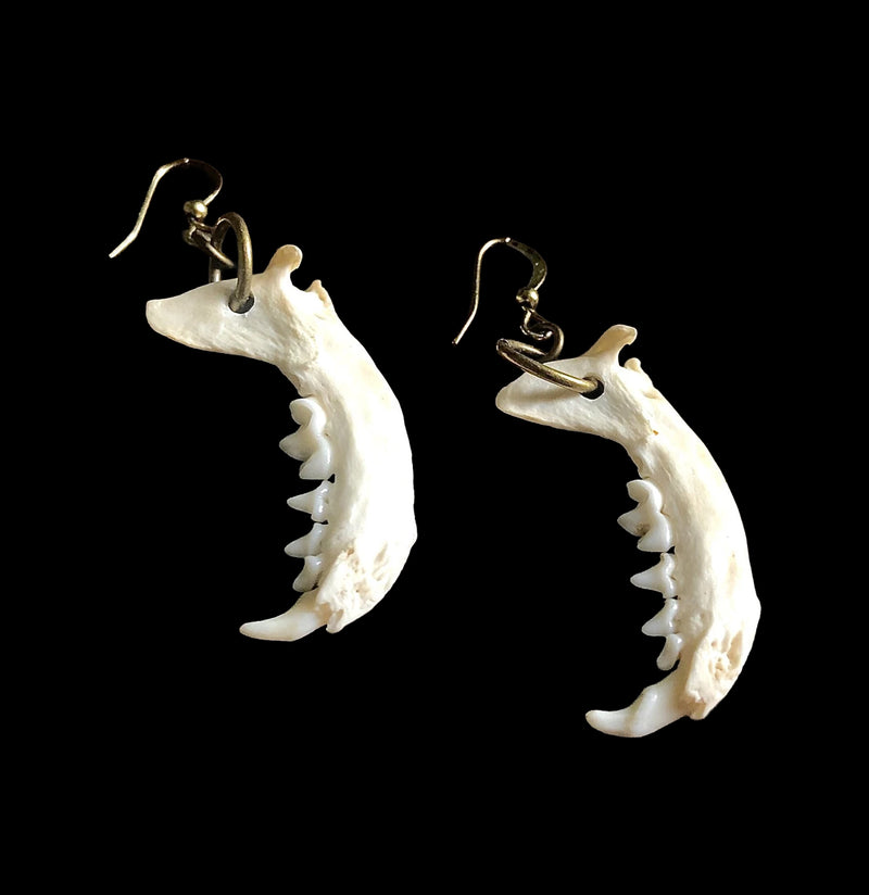 Weasel Jawbone Earrings-Earrings-Astali-PaxtonGate
