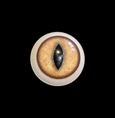 Glass Lynx Taxidermy Eye-Taxidermy Supplies-McKenzie Taxidermy Supply-PaxtonGate