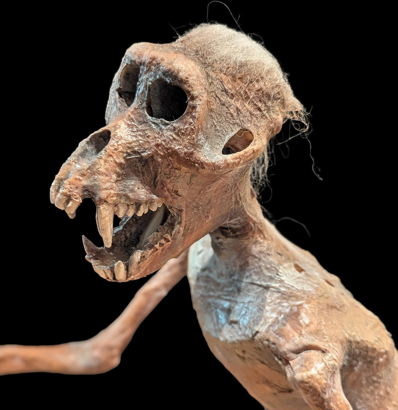 Feejee Mermaid-AntqRplica-Dapper Cadaver-PaxtonGate