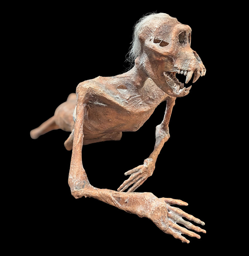 Feejee Mermaid-AntqRplica-Dapper Cadaver-PaxtonGate