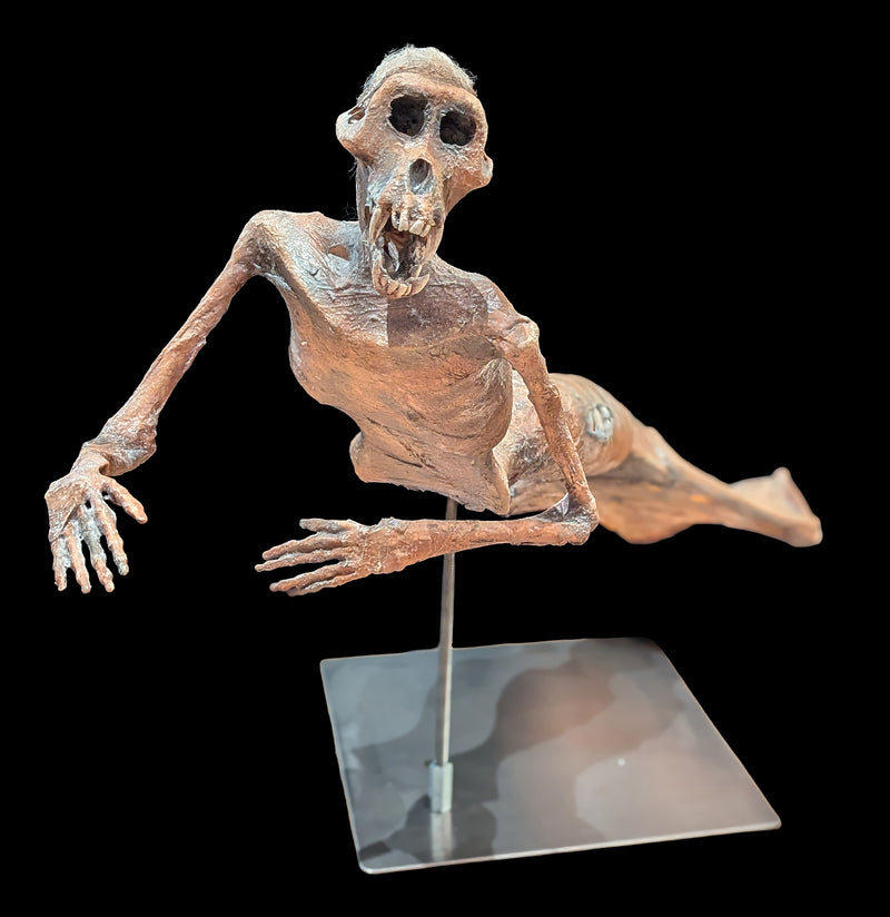 Feejee Mermaid-AntqRplica-Dapper Cadaver-PaxtonGate