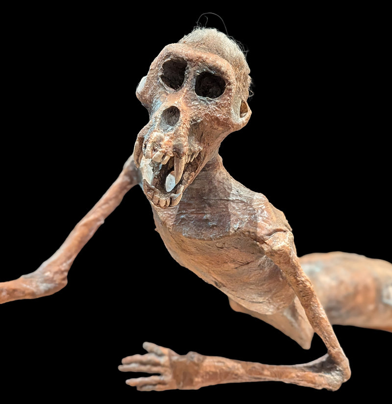 Feejee Mermaid-AntqRplica-Dapper Cadaver-PaxtonGate