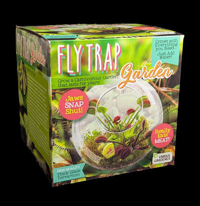 Venus Flytrap Glass Terrarium Kit-Plants-Silver Circle Productions-PaxtonGate