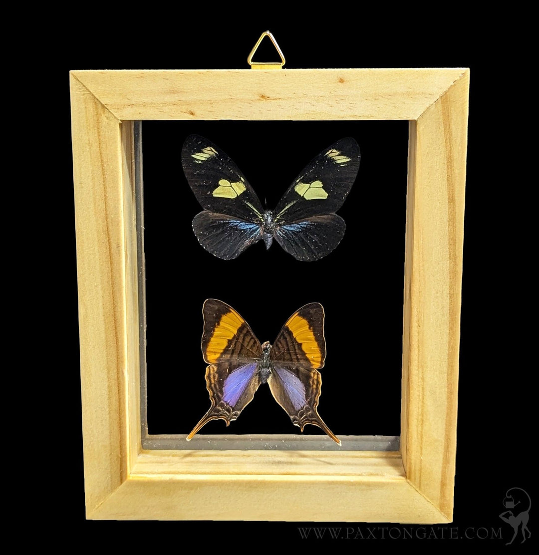 Paxton_Gate_Framed_2_nutterfli