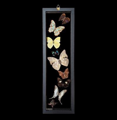 Nine Double Glass Framed Sweeping Butterflies-Insects-Natural Insect-PaxtonGate