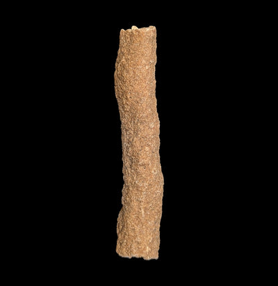 Fulgarite piece-Fossils-Moussa-PaxtonGate