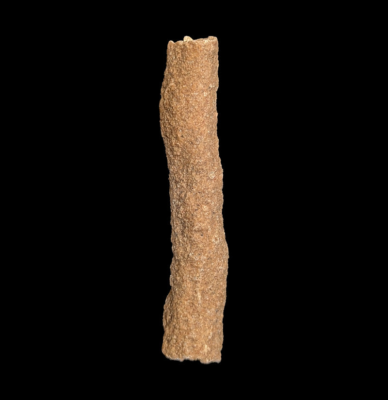 Fulgarite piece-Fossils-Moussa-PaxtonGate
