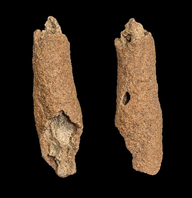 Fulgarite piece-Fossils-Moussa-PaxtonGate