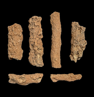 Fulgarite piece-Fossils-Moussa-PaxtonGate
