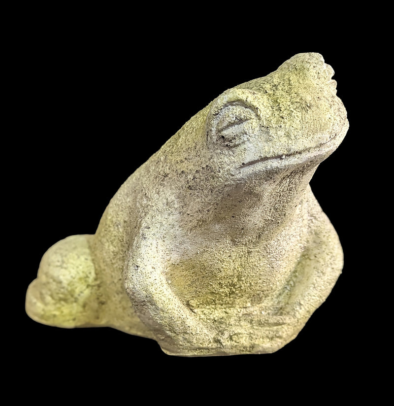 Toad Dude Garden Statuary-statuary-Orlandi-PaxtonGate