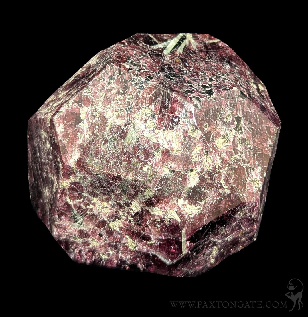 Faceted Garnet Stone For Sale | Paxton Gate