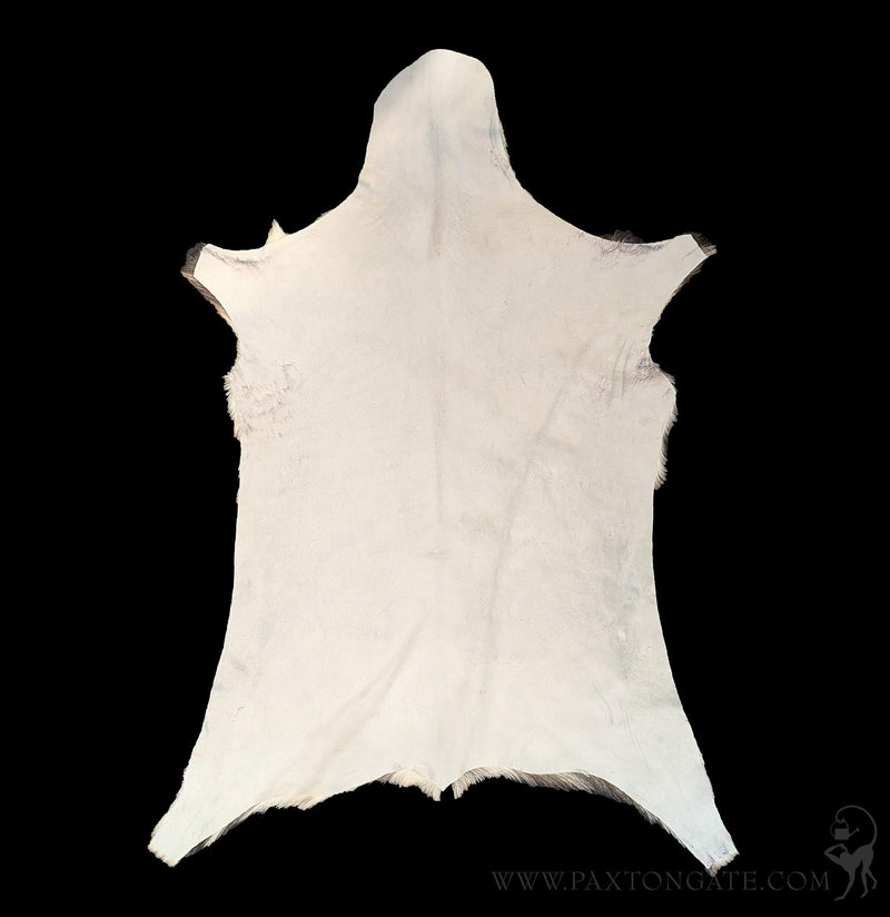 Goat Hide-Taxidermy-Luises Perez Imports LLC-PaxtonGate