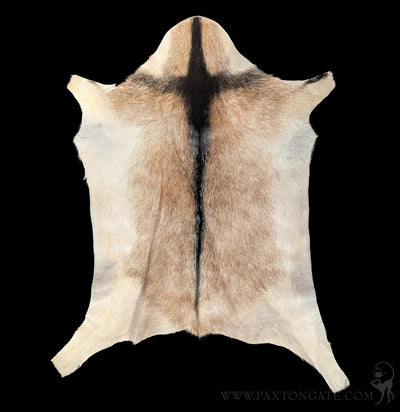 Goat Hide-Taxidermy-Luises Perez Imports LLC-PaxtonGate