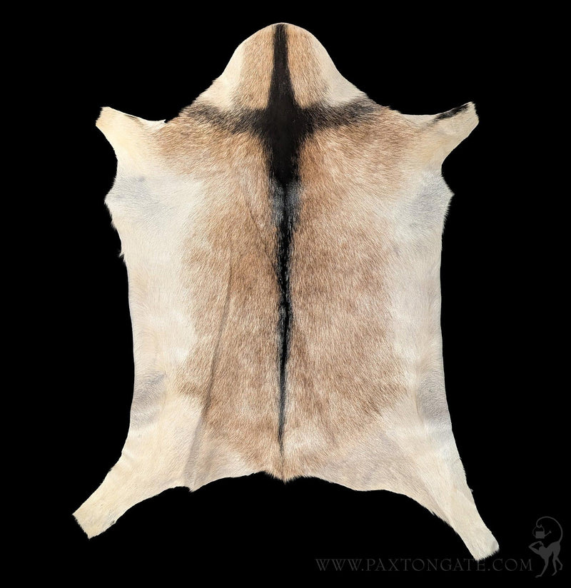 Goat Hide-Taxidermy-Luises Perez Imports LLC-PaxtonGate