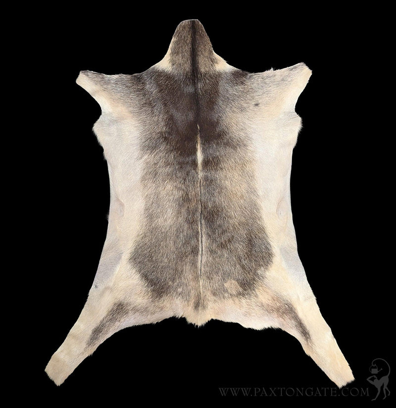 Goat Hide-Taxidermy-Luises Perez Imports LLC-PaxtonGate