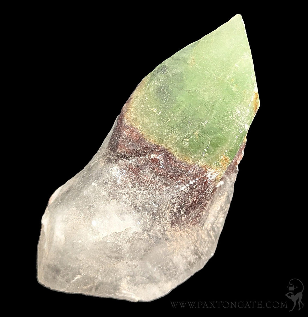 Dogtooth Green Calcite Crystal For Sale | Paxton Gate