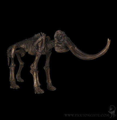 Elephant Dinosaur Fossil Replica-Decor-Modern World-PaxtonGate