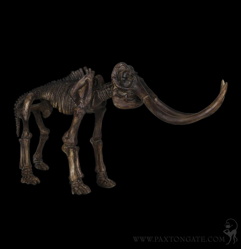 Elephant Dinosaur Fossil Replica-Decor-Modern World-PaxtonGate