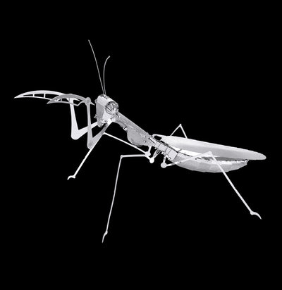 Metal Praying Mantis 3D Model-Kids-Metal Earth-PaxtonGate