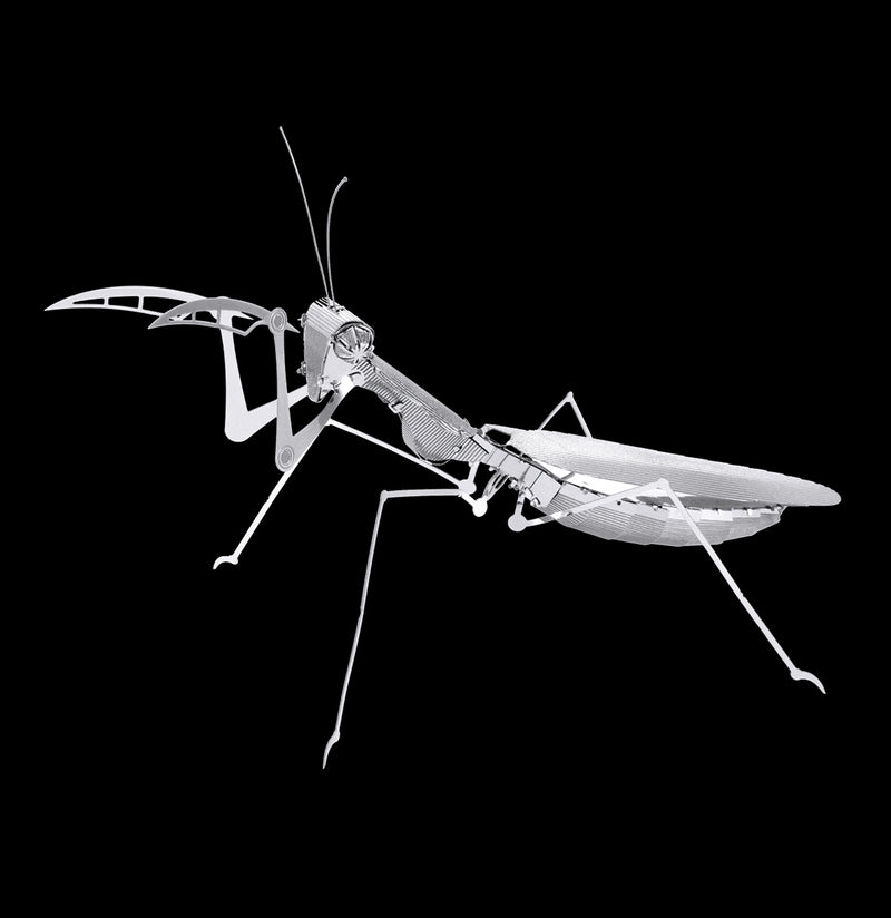 Metal Praying Mantis 3D Model-Kids-Metal Earth-PaxtonGate