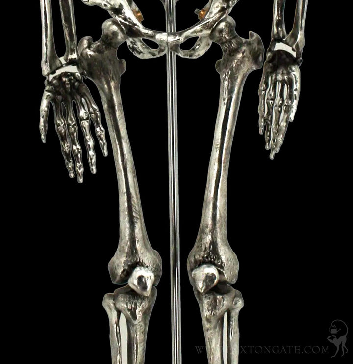 Articulated Electroplated Silver Skeleton Display For Sale