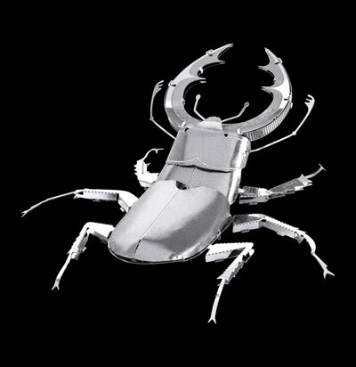 Metal Stag Beetle 3D Model-Kids-Metal Earth-PaxtonGate
